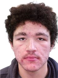 Ethan Daniell Helquist